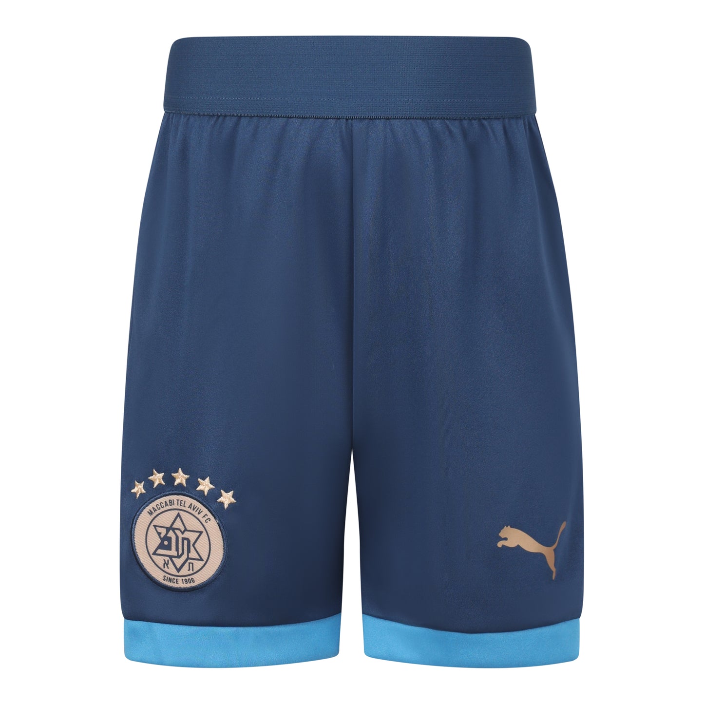 PUMA 25/26 Kids Away Kit Shorts