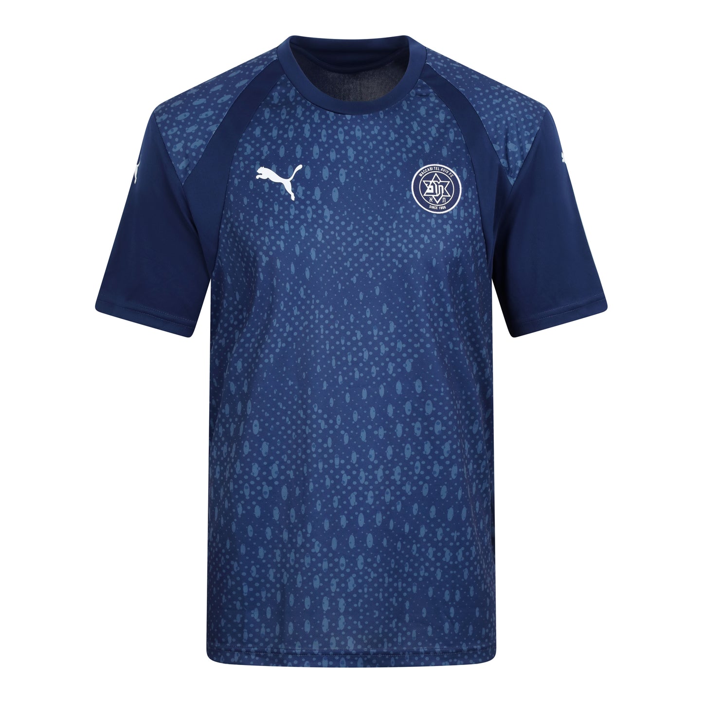 PUMA Blue Team Training Shirt 26/27 Season Men
