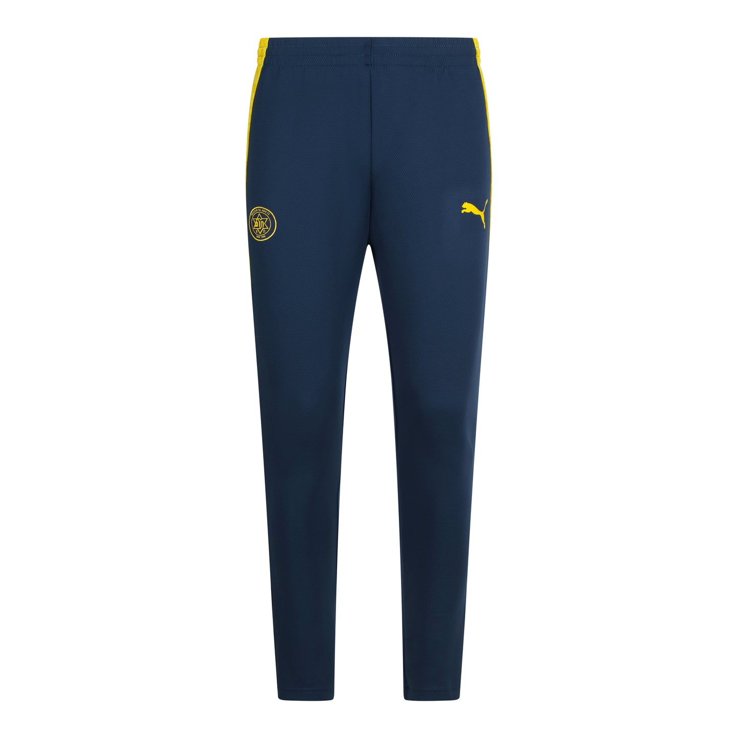 PUMA Player Men's Long Blue Training Pants 26/27 Season