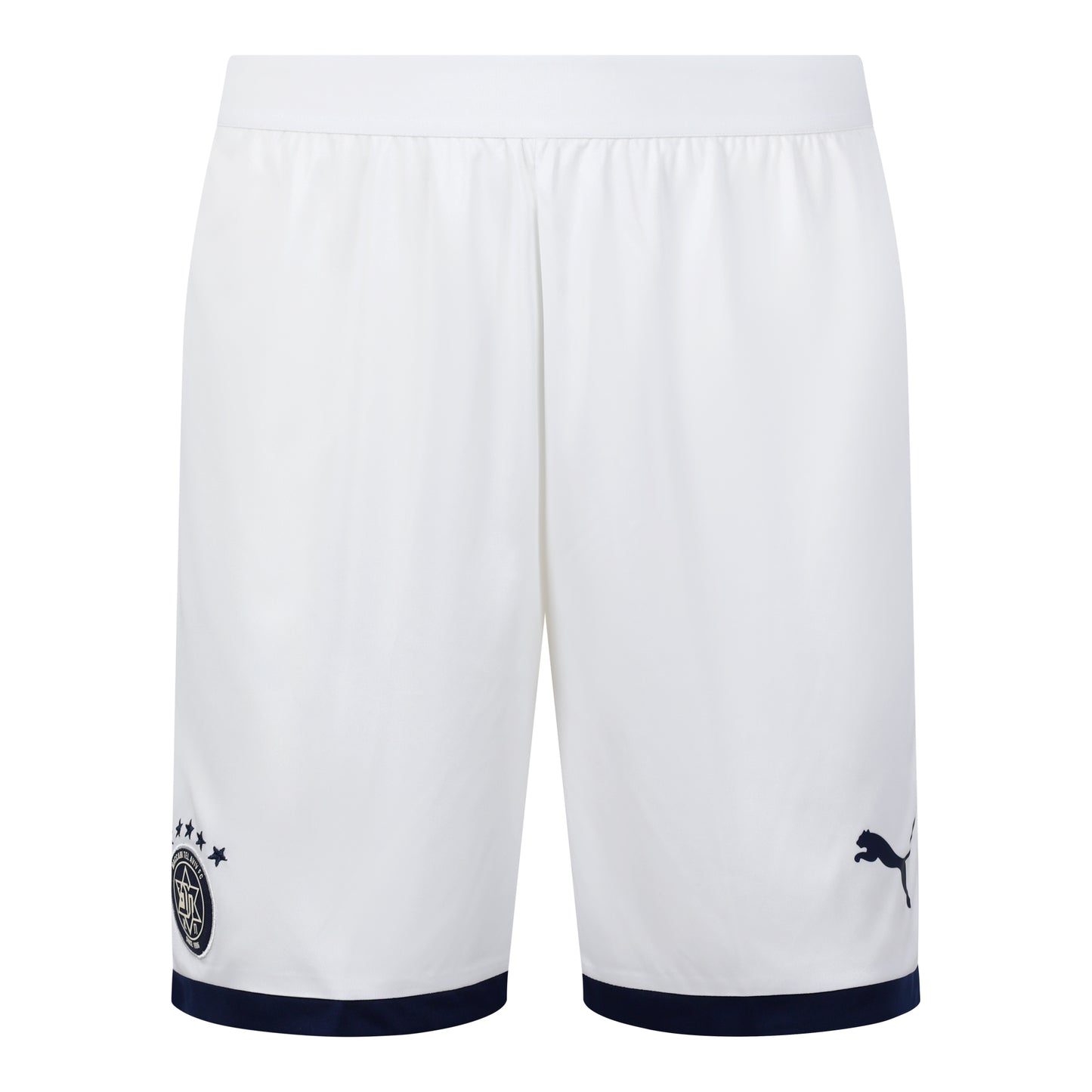 PUMA Men 25/26 Fourth Kit Shorts
